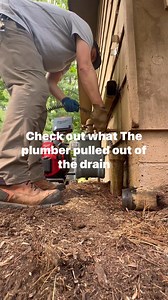 Drain cleaning roots from a storm drain. #plumbing #plumber #draincleaning | Nick Plumbing