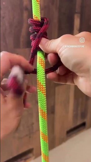 🌿 How to Tie the Knut Friction Hitch – Quick Knot Guide #thearboriststore