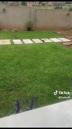 Effective Methods for Mole Control in Your Lawn