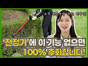 전정기 사용법, '이것' 하나로 정원 퀄리티가 달라집니다 (울타리 자르기, 고지 전정기 안전 팁)