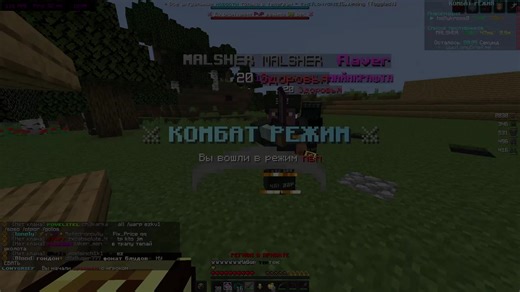 Minecraft Gameplay Strategies and Tips for Success