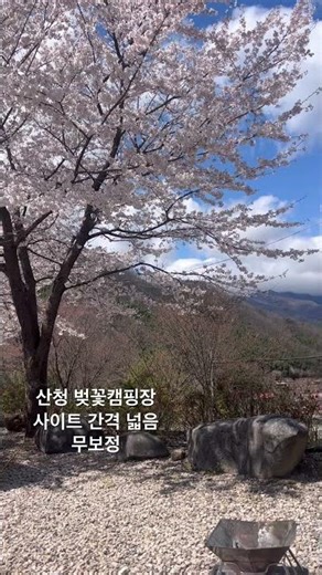 경남 산청 지리산 벚꽃 캠핑장 #camping #경남투어 #캠핑 #캠핑용품 #캠핑장추천 #오토캠핑