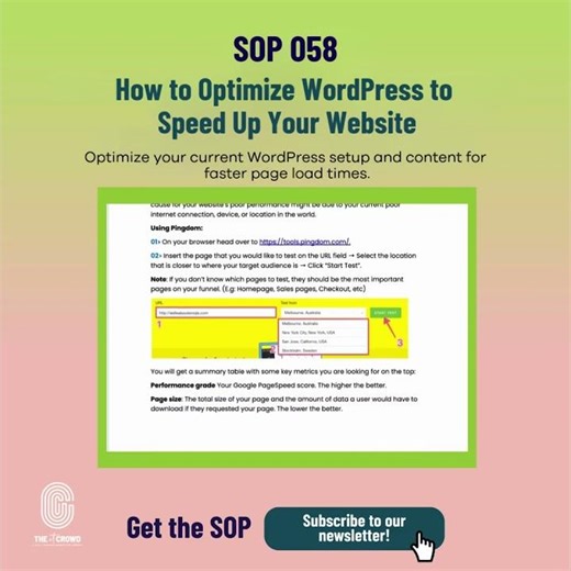 How to Optimize WordPress to Speed Up Your Website