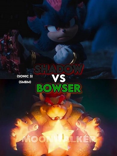 Shadow vs Bowser