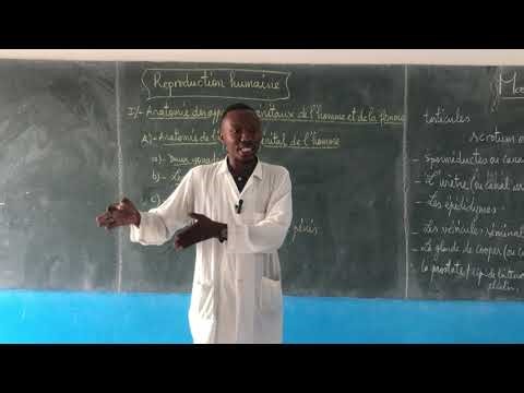 Reproduction humaine partie 1