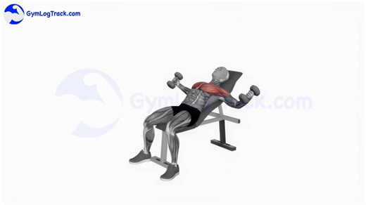 Incline Bench Dumbbell Flys