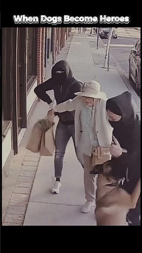 Can DOGS REALLY Protect You from HARM?