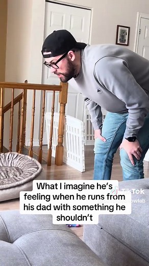 The sweetest little angel. How lucky are we🤍💛🤍#yellowlab #dogsoftiktok #labsoftiktok #labradorretriever #cutedog #foryoupage #whitelab #laugh #theif #amazon