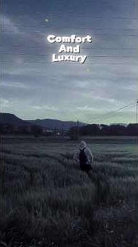 Albert Einstein Quotes That Still Inspire the World