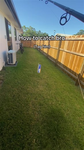 Effective Techniques for Catching Bro