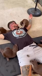 237K views · 2.7K reactions | They’re looking for colos  | Real on colos oñ colos | Facebook