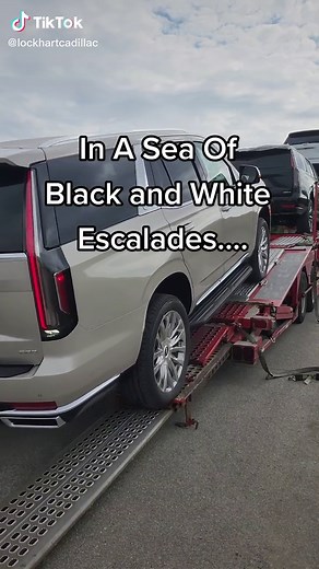 Discover the Exquisite Sandstone Metallic Cadillac Escalade