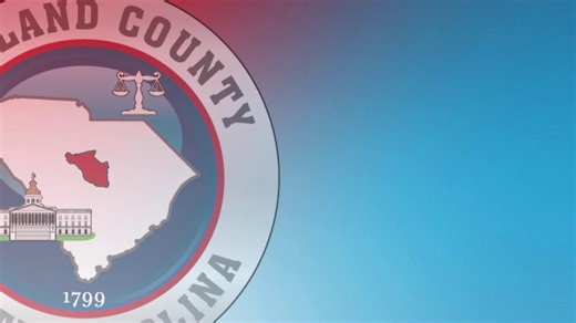 A VISION FOR SUCCESS. Richland County's annual Strategic Planning Forum features County Council and senior leadership from across County departments and divisions, allowing the County to review progress made toward key goals, objectives and initiatives. The forum also allows County Council and staff to review the fiscal year budget, receive updates on capital projects, and work together to help address the needs of employees of Richland County Government and the residents we serve. Through produ