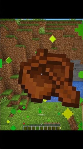 Minecraft Insane Secret Commands 😧