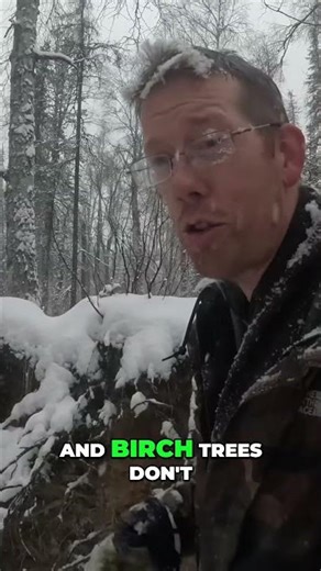 Campfire Pro Tip: Avoid Swampy Ground for Perfect Fire! #shorts