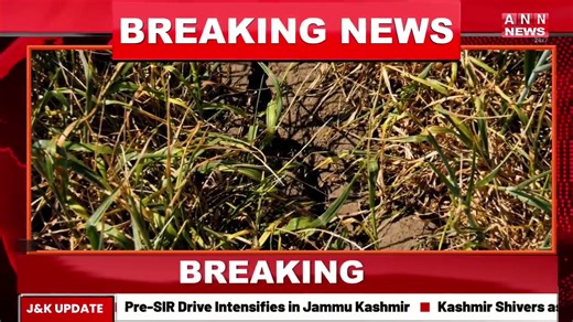 Khamenei Blames US/Is-rael for "Thousands" of Pro-test Dea-ths || ANN News Live || | ANN News Channel