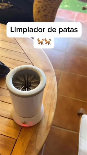 134K views · 27K reactions | Mini a poder ser #humor #perro #hombre #reels #instareels | Leandrinho Alvarez | Facebook