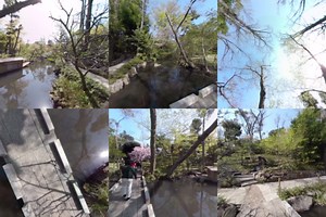 Tokyo offers just the right balance of art, nightlife and cuisine. Here's how to spend 36 hours in this bustling city: http://nyti.ms/2qab7st #Daily360 | The New York Times