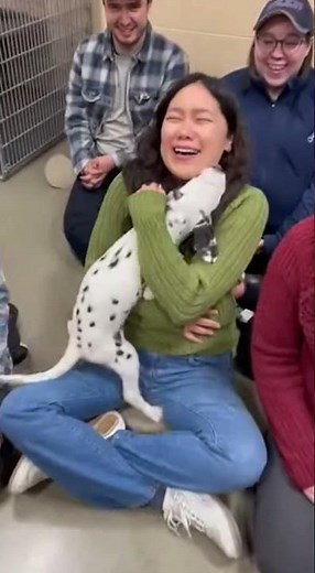 Adorable Dalmatian Puppy Choosing Its Human 🐶🖤