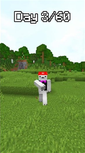 (Day 3/60) minecraft crazy build hack?