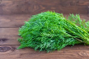 Aneth : bienfaits santé, recettes