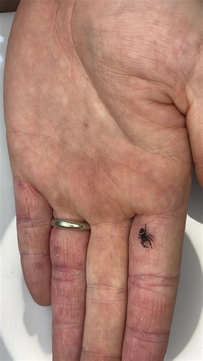 Jumping spider 😮 #JDSummerDrip #NatWestWhatYouWaitingFor #mantisden #fypシ #fyp