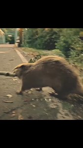 Un buen amigo 🥹🥹🥹 | Mundo enigmática USA