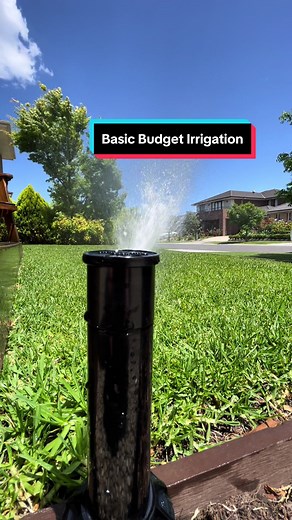 Affordable Lawn Irrigation System Installation Under $100