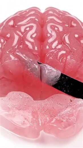 This Brain Jelly Cut Feels Illegal 😳🧠 #oddlysatisfying