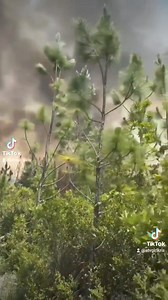 3.1K views · 69 reactions | HAPPY FIRST RESPONDERS DAY!...