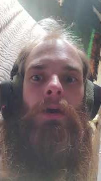 Linkin Park humorous playful beatbox opera cover