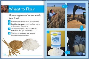 From Paddock to Plate- Bread