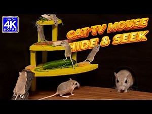Cat TV Games: Cute Mice Playing Hide & Seek on Screen | 8 Hours of 4K UHD Fun for Cats