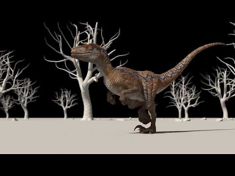 Raptor Maya Rig - Video demo