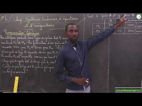 Cours - Première L - Mathématiques : Systèmes linéaires d'équations et d'inéquations / Programation