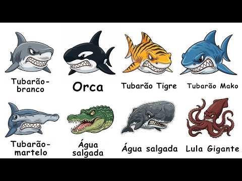 All marine predators explained in 9 minutes (Part 02)