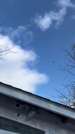 TikTok · Jennifer Ashley