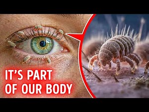 How Strange the Human Body Really Is