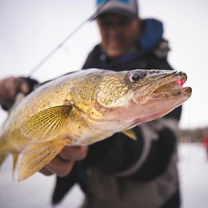 121 reactions · 11 comments | Introducing the new G. Loomis IMX Pro Ice Rods. . Action, sensitivity, and purposeful construction are the driving forces behind the new line of G. Loomis IMX-PRO Ice rods. Built specifically for the avid ice-fishing angler, two different manufacturing methods produce the best performance, action and power for a variety of ice-fishing situations. | G. Loomis | Facebook