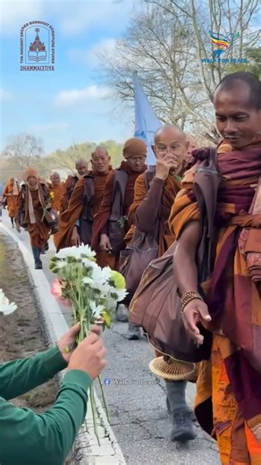 🌸 We have seen so many beautiful offerings of flowers on this journey—hands extending blooms with such gentle kindness, colors and fragrance filling the air around us. When we receive those flowers, they tell us something precious: that peace has been blooming in you, in everyone around, and more and more in the world. Each flower is proof that compassion grows, that kindness blossoms, that hearts open like petals reaching toward the light. These flowers are not just gifts to us. They are signs