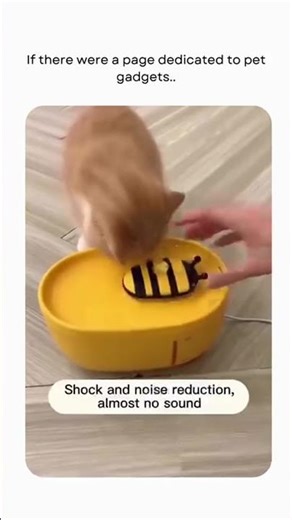 These products are essential and incredibly useful for your pets