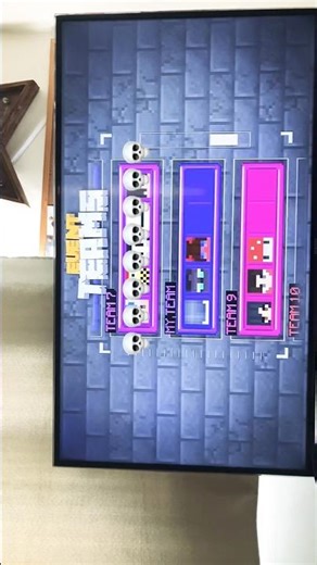 One of the beast teams in Minecraft hunger games