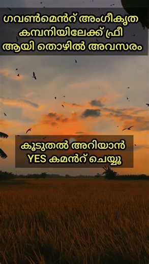 #job #nature #promotion #work