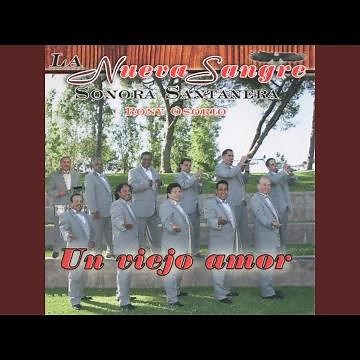 Un Viejo Amor