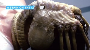 Deleted alien franchise scenes that would've changed everything