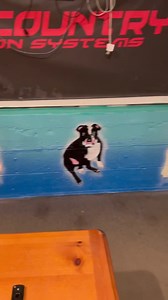 A few months back we decided to get some graffiti done on the walls to brighten up the show room and make it unique. I got caught up in the every day grind and forgot to post it. Some of it is just fun random stuff and some of it has a special meaning. The 4 dogs are all of damians babies, 2 that had past away before him and 2 that are still alive today. Of course the big man himself got his spot right next to the front counter hanging out with us every day! Since this video we’ve cleaned up som