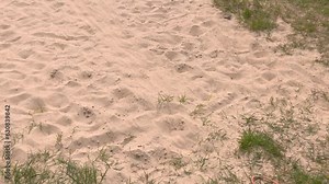 Help for the drowning. It is a floating thin ship rope made of polypropylene.