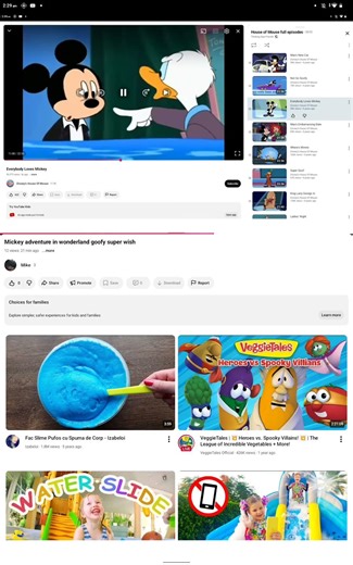 mickey mouse clubhouse goofy petting zoo