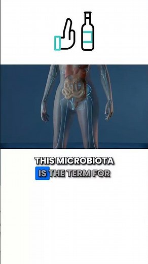 Best Natural Remedies To Restore Gut Flora