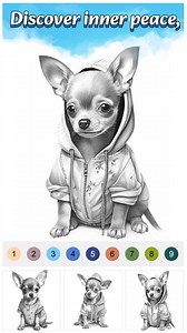 2.4K views | Coloring game designed for all ages. Easy to use and eye-friendly: larger numbers✨ | Color Oasis | Facebook